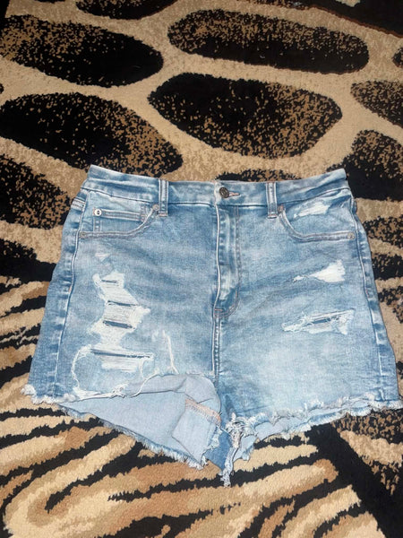 NWT American Eagle Next Level Stretch Denim Shorts-Size 10