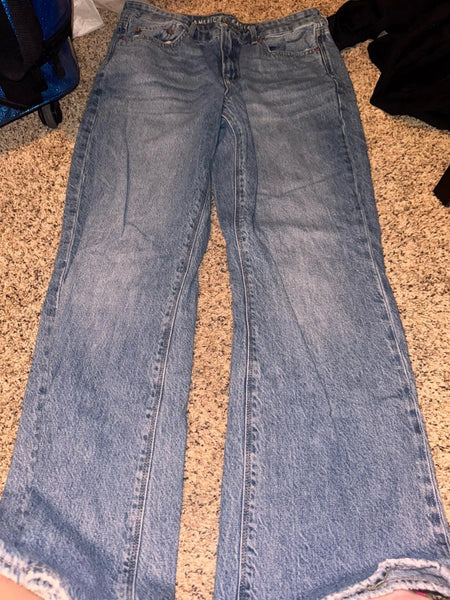 EUC Blue Denim Non Distressed American Eagle Jeans- Short Length (10)