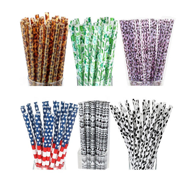 Plastic Reusable Straw*MULTIPLE DESIGNS*