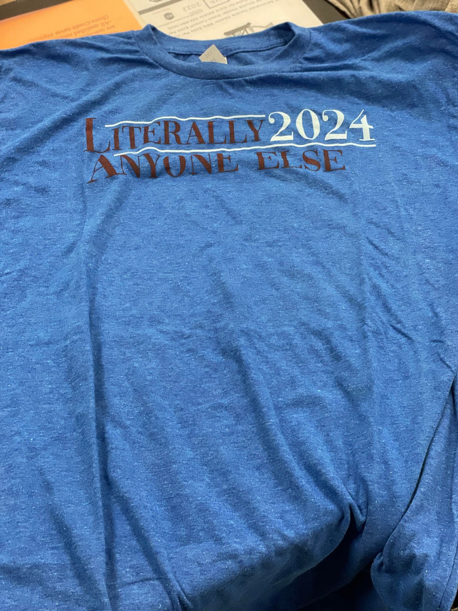 Literally 2024 Anyone Else Tee