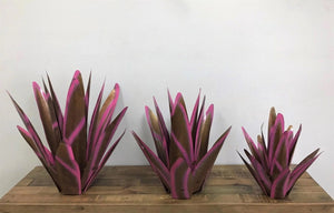 Agave Metal Cactus