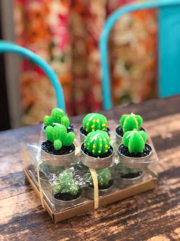 6pc Cactus Tea Light set