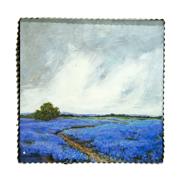 Bluebonnet Field Print