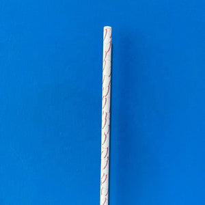 Plastic Reusable Straw*MULTIPLE DESIGNS*