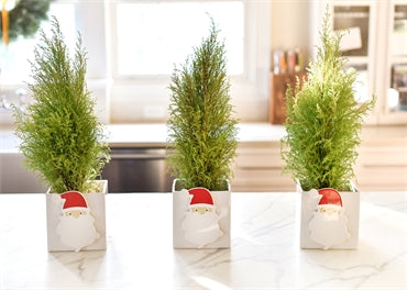 Ho Ho Santa Mini Attachment