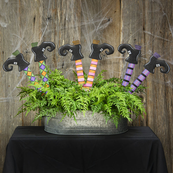 Multi-Colored Witch Legs